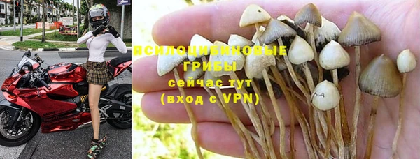 apvp Балабаново