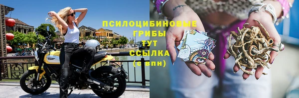 2c-b Балахна