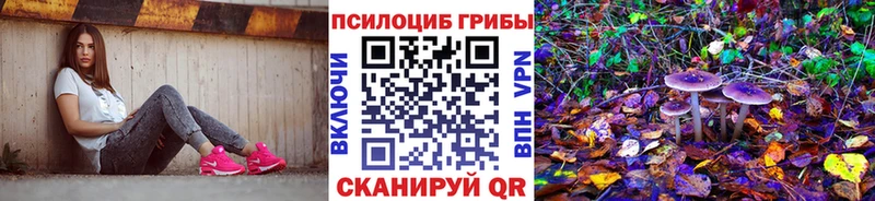 Псилоцибиновые грибы мицелий Лукоянов